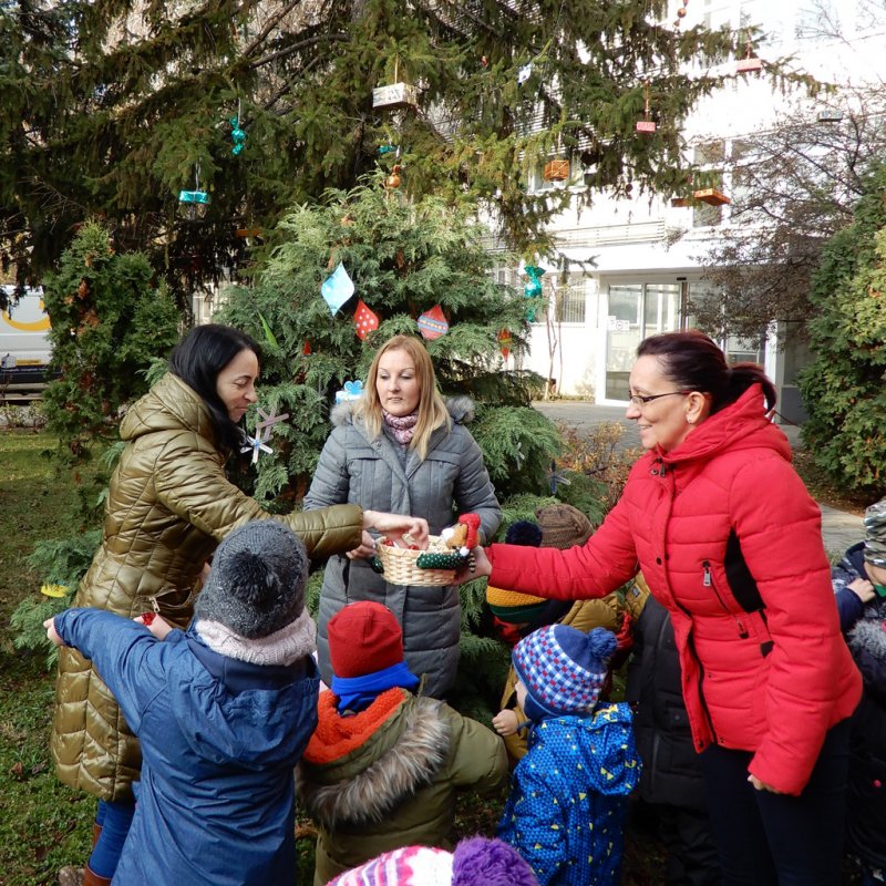 Fenyődíszítés a kórházban 26